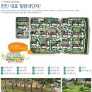 도솔노블시티동문굿모닝힐아파트 이미지