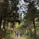 금오름농장 이미지