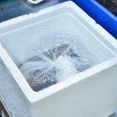 오라수산 이미지