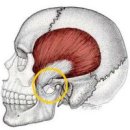 경희다래한의원 이미지