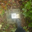 여량초등학교 이미지