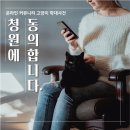 청원에 동의합니다. 온라인 커뮤니티 고양이 학대 사건 / 평택지입 고속종합물류