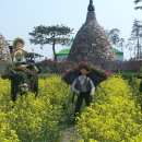 2013. 영광찰보리축제현장 이미지