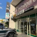 노형동물병원 | 반려견 방광무력증/요도카테터삽입후기/노형동물병원/가격