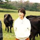 대표코스/역사관광코스/테마관광코스 이미지