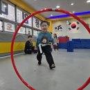 용인대삼성태권도 이미지