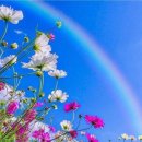 9월14일...9월 둘째 월요일..출석으로 활기찬 시작할까요~~🎶☘️ 이미지