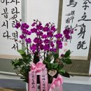 대흥정판사