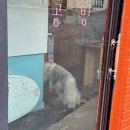 문결925 이미지