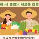 판다커머스