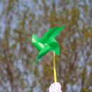 숲속에 안뜰 이미지