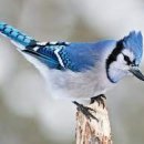 상촌 체육공원 이미지