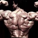 엑스(x)휘트니스 이미지