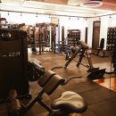 더 리얼 피티 이미지