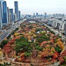 여의정 | 여의도공원 단풍 산책