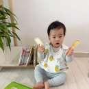엄마전집 - 삼척시 | 프뢰벨 가족 베틀북 엄마의 첫 선물 첫전집 솔직후기
