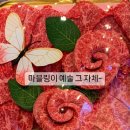 양심축산