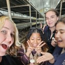 부여양송이마을 이미지