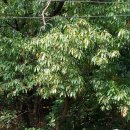 상곡농장 이미지