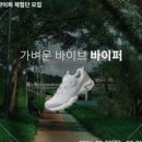 바이퍼체험 네이버블로그
