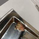 [파주 UK치과의원, 유케이치과] 인레이 치료후기, 사랑니 발치 후기🤣