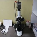 죽전쿨펫동물병원