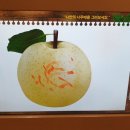 나주배박물관 이미지