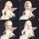 슈테른헤어 이미지