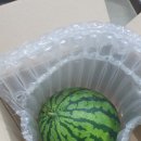 우곡그린복합영농조합법인 이미지