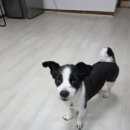 순남이네 이미지