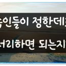 상속집명의변경, 상속인들이 정한데로만 처리하면 문제 없는지 이미지