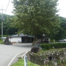 갑장사등산로 이미지