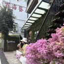 동강의낙원 | [🇹🇼가오슝 여행]소류구 가는 법 동강 페리 소류구 거북이 대중부잠 예약없이 리후어야시장