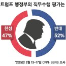비부정 이미지