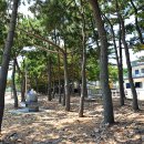 두곡해수욕장 이미지