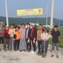 호법 코스모스길 이미지