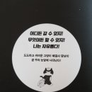 오 마이 캣 이미지