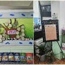 열매유치원 | 유치원학원 열매보습학원에서의 놀라운 변화 후기