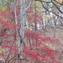 신송약수터 이미지