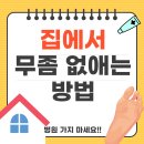 여름철 집에서 무좀 치료하는 방법 (병원 가기전 보세요!)