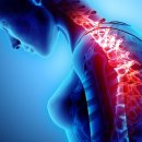 용인척의원 이미지