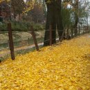 계양그대가아파트경로당 이미지