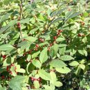 이목리 제방 이미지