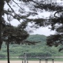 송림공원 건너 이미지