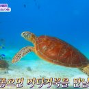 자연힐링
