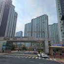 신도시롯데캐슬공인중개사사무소 | 다시 시작하는 운정 9년 차 중개사의 솔직한 부동산 이야기