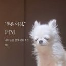 채린빌 | 좋은 아침 [거짓]