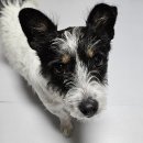 부팅 | 갤럭시 무한재부팅 백업 성공 후기 S23 무한부팅 냉동실 데이터