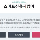 나이스평가정보(주)