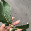 코리아 뮤직파크 이미지